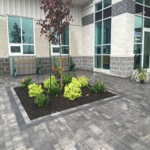 Unilock Artline pavers